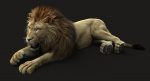 Lion 3D Model Online | Animal 3D Model Online