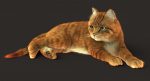 Cat 3D Model Online | Animal 3D Model Online