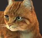 Cat 3D Model Online | Animal 3D Model Online