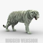 White Tiger 3D Model Online | Animal 3D Model Online
