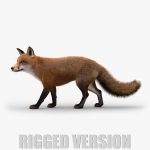 Fox 3D Model Online | Animal 3D Model Online