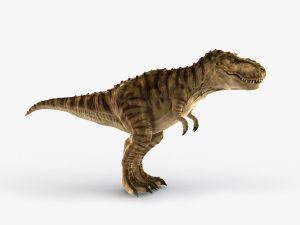 Tyrannosaurus 3D Model Online | Animal 3D Model Online