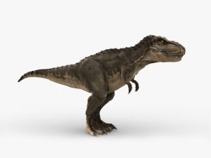 Tyrannosaurus 3D Model Online | Animal 3D Model Online