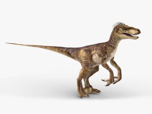 Velociraptor (2) (RIGGED) 3D Model Online | Animal 3D Model Online