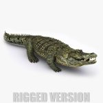 Crocodile (RIGGED) 3D Model Online | Animal 3D Model Online