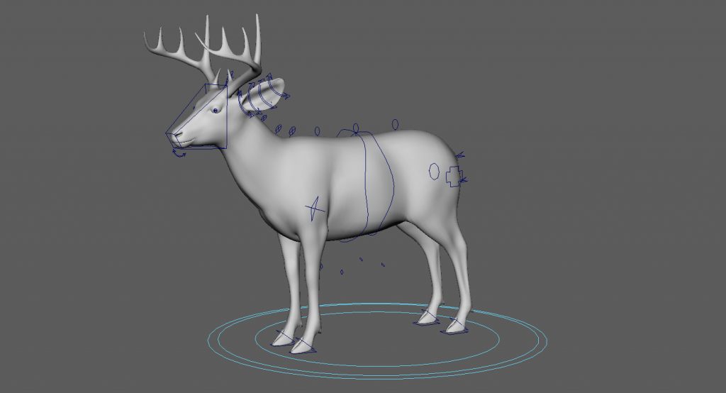Buy DEER (FUR) (ANIMATED) 3D Models Online | Massimo Righi