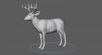 Deer 3D Model Online | Animal 3D Model Online