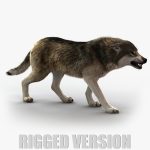 Wolf 3D Model Online | Animal 3D Model Online