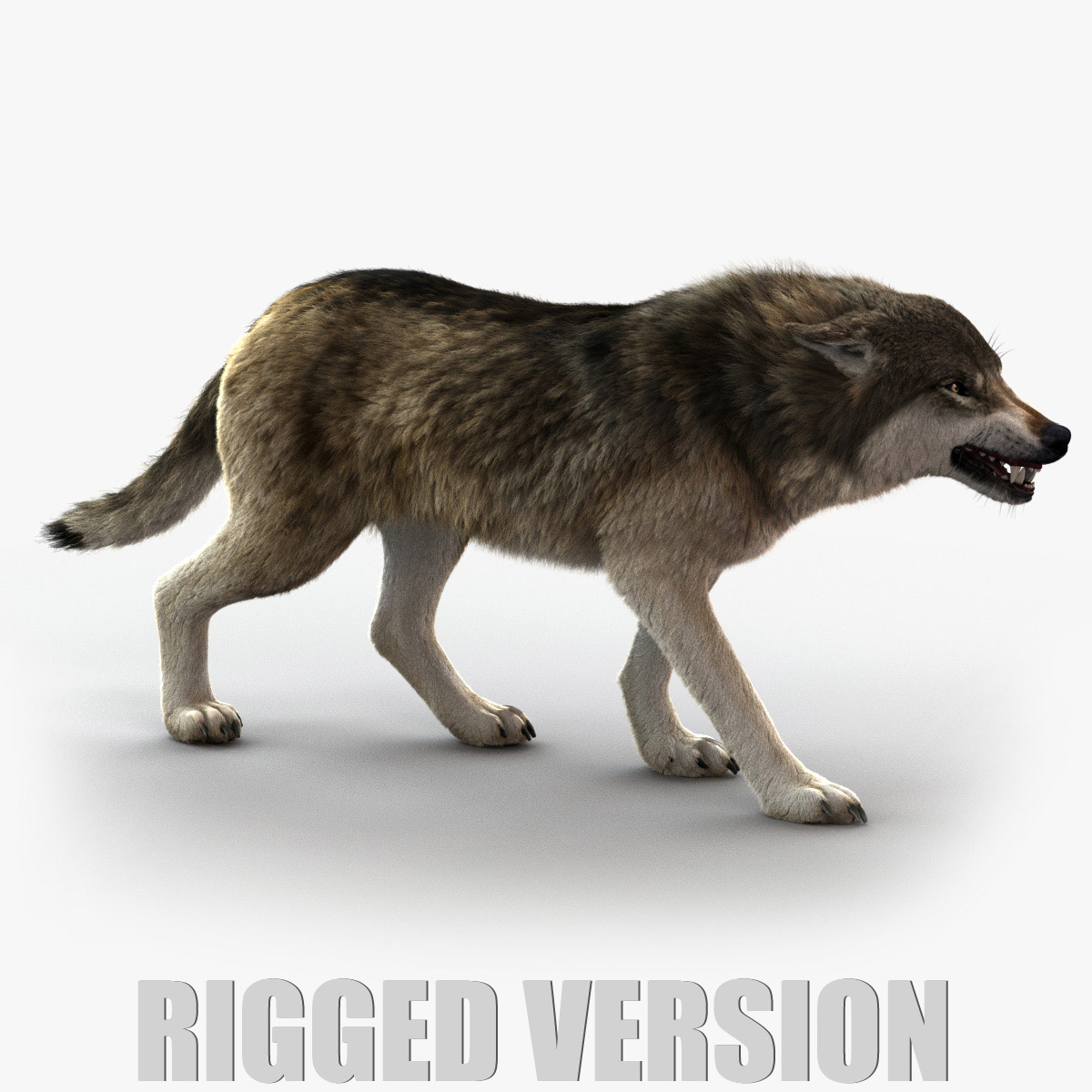 Wolf models. 3d Wolf модель. Wolf 3 д модель. Моделька волка. Волк 3д.