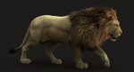 Lion 3D Model Online | Animal 3D Model Online