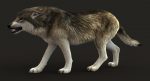 Wolf 3D Model Online | Animal 3D Model Online