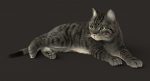 Cat 3D Model Online | Animal 3D Model Online