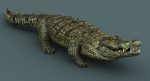 Crocodile (RIGGED) 3D Model Online | Animal 3D Model Online