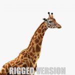 Giraffe (FUR) (RIGGED) 3D Model Online | Animal 3D Model Online