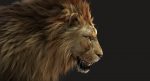 Lion 3D Model Online | Animal 3D Model Online