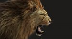 Lion 3D Model Online | Animal 3D Model Online