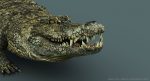 Crocodile (RIGGED) 3D Model Online | Animal 3D Model Online