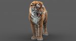Tiger 3D Model Online | Animal 3D Model Online