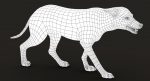 Wolf 3D Model Online | Animal 3D Model Online