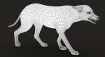Wolf 3D Model Online | Animal 3D Model Online