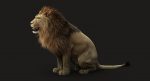 Lion 3D Model Online | Animal 3D Model Online