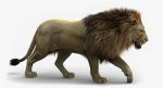 Lion 3D Model Online | Animal 3D Model Online