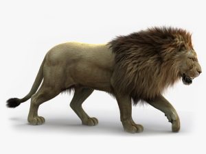 Lion 3D Model Online | Animal 3D Model Online