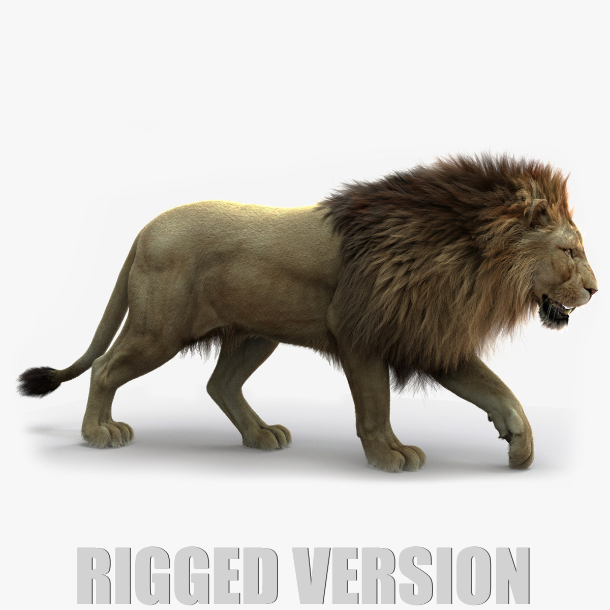 Lion (FUR) (RIGGED) (Maya2018 Shave and a Haircut) - Main Image