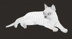 Cat 3D Model Online | Animal 3D Model Online