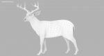 Deer 3D Model Online | Animal 3D Model Online