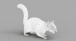Squirrel 3D Model Online | Animal 3D Model Online