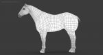 Horse 3D Model Online | Animal 3D Model Online