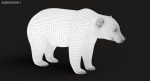 Brown Bear 3D Model Online | Animal 3D Model Online