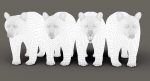 Black Bear 3D Model Online | Animal 3D Model Online