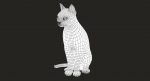 Cat 3D Model Online | Animal 3D Model Online