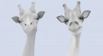 Giraffe (FUR) (RIGGED) 3D Model Online | Animal 3D Model Online