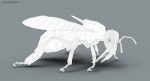 Honeybee (FUR) (RIGGED) 3D Model Online | Animal 3D Model Online