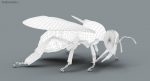Honeybee (FUR) (RIGGED) 3D Model Online | Animal 3D Model Online