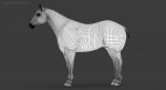 Horse 3D Model Online | Animal 3D Model Online
