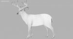 Deer 3D Model Online | Animal 3D Model Online