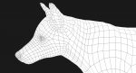 Wolf 3D Model Online | Animal 3D Model Online