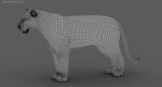 White Tiger 3D Model Online | Animal 3D Model Online