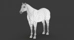 Horse 3D Model Online | Animal 3D Model Online