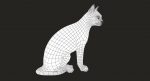 Cat 3D Model Online | Animal 3D Model Online