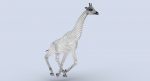 Giraffe (FUR) (RIGGED) 3D Model Online | Animal 3D Model Online