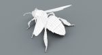 Honeybee (FUR) (RIGGED) 3D Model Online | Animal 3D Model Online