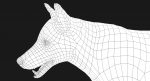 Wolf 3D Model Online | Animal 3D Model Online