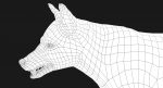 Wolf 3D Model Online | Animal 3D Model Online
