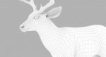 Deer 3D Model Online | Animal 3D Model Online
