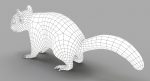 Squirrel (FUR) (RIGGED) 3D Model Online | Animal 3D Model Online